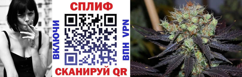 Купить закладку ГАШ  Бошки Шишки  Alpha-PVP  Амфетамин  МЕФ  Горнозаводск