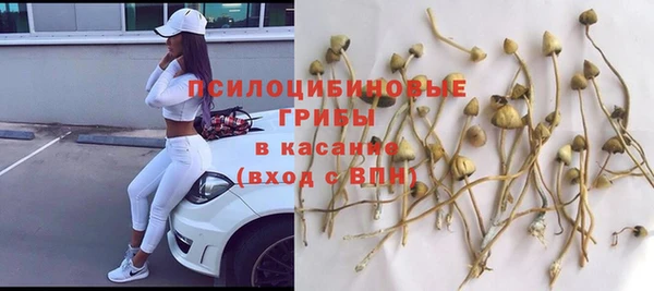 не бодяженный Коряжма