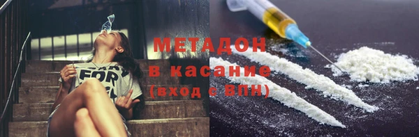 прущие грибы Костерёво