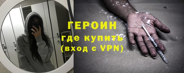 прущие грибы Костерёво