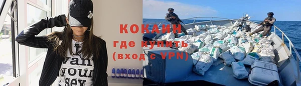 прущие грибы Костерёво