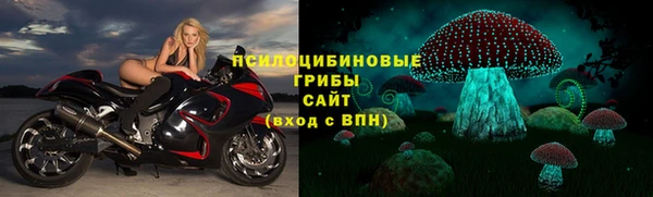 не бодяженный Корсаков