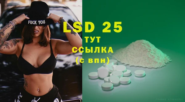 прущие грибы Костерёво