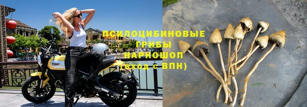 не бодяженный Коряжма