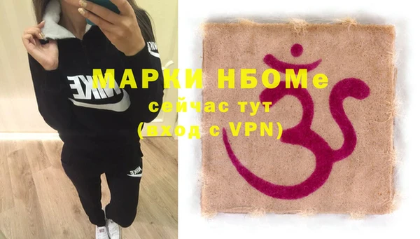 прущие грибы Костерёво