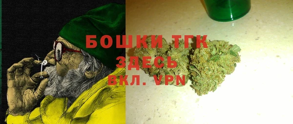 прущие грибы Костерёво
